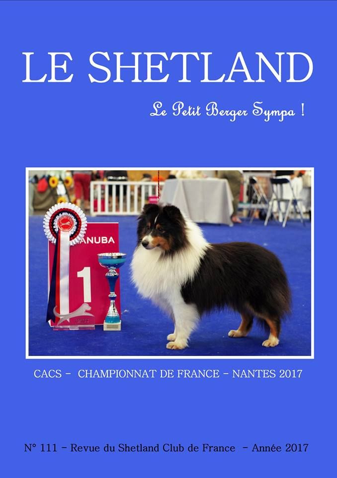 A  l'honneur dans la Revue du Shetland Club de France notre Blacky (In